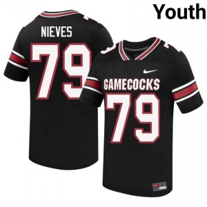 #79 Armando Nieves USC Gamecocks Black Jersey | Authentic Embroidery Youth Player Football Gear 22936377